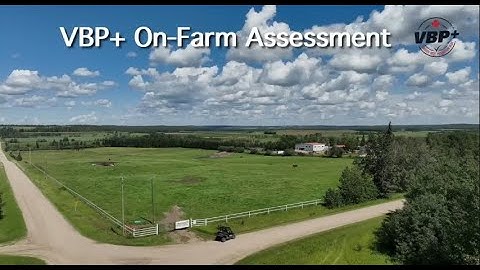 VBP+ On Farm Assessment