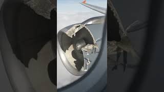 Engine Cowling Panel Tears Loose Mid-Flight