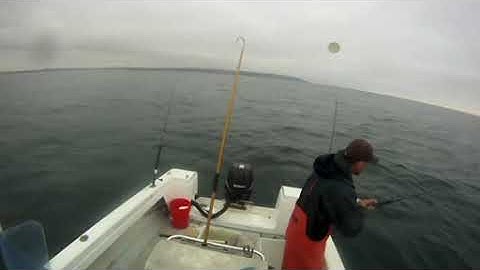 Câu cá chẽm biển ở nước ngoài