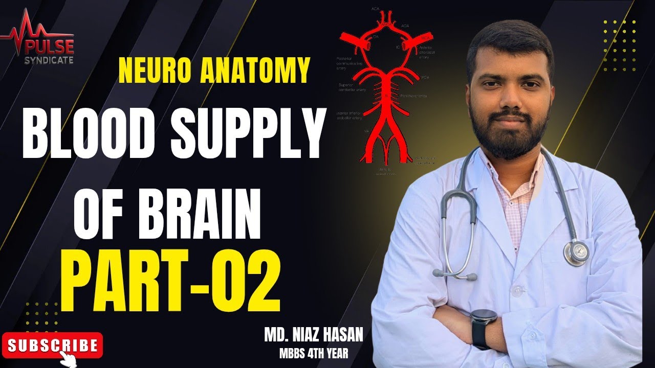 Blood supply of Brain (Part-02) Circle of willis | Neuroanatomy | NIAZ ...