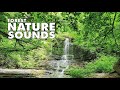 💚 The best sounds of nature. Environmental sounds of nature beneficial for health, White Sound. ASMR