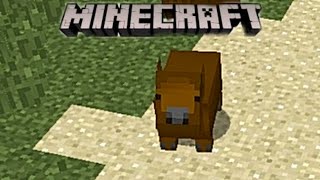 Capybaras + New Boss in Minecraft! (Cool Capybaras - Mods with Mel)