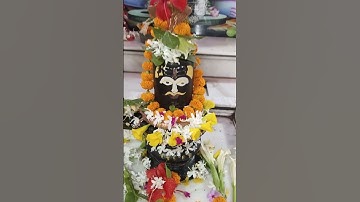 कनेर के पुष्प का उपाय #pradeepmishraji #shivmahapurankatha #mhadevbhakt #pushp #shivling