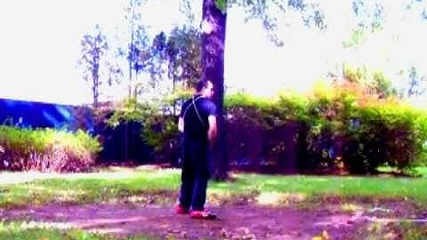 Rope Dart (Sheng Biao) / Meteor Hammer (Liu Xing Chui)