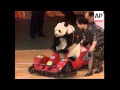 Weightlifting panda performs at beijing state circus