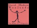 David Hudson – Woolunda (Ten Solos For Didgeridoo)