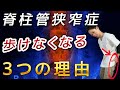 【脊柱管狭窄症の治し方】絶対やってはいけないこと【腰部脊柱管狭窄症ストレッチ】