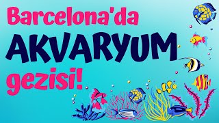 Barcelona Akvaryum Turu | Renkli Deniz Dünyasını Keşfedin!