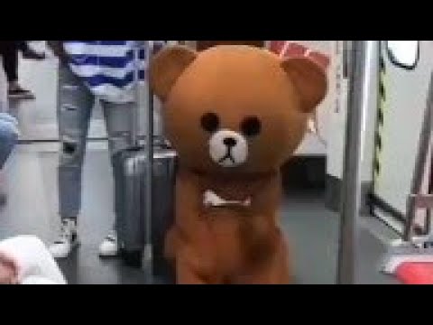 Teddy Bear Malayalam Funny Dubbing Video / Wowfundub / Fun Teddy Bear /  Trynottolaugh - Youtube