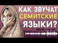 КАК ЗВУЧАТ СЕМИТСКИЕ ЯЗЫКИ? [ENG SUB]