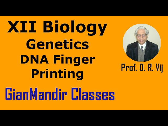 XII Biology | Genetics | DNA Finger Printing by Inderpal Sir