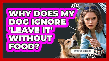 Why Does My Dog Ignore 