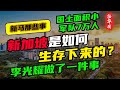 国土面积狭小，军队只有7万人的新加坡，是如何生存至今的？丨李光耀只做了一件事...