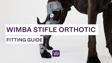 WIMBA Stifle Orthosis | Fitting Instructions