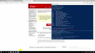Generating Allure reports with Pytest. (Python/Selenium)