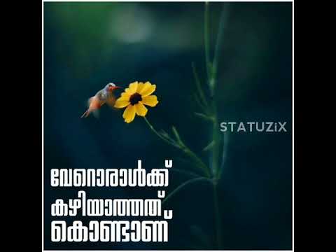 Featured image of post Heart Touching Viraham Malayalam Quotes - These quotes will definitely help to inspire you and motivate you in your life.