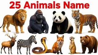 25 Animals Name English to Hindi |LearnAnimals Names |Learn Animals Name &amp;Sound &amp; Picture