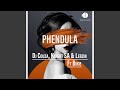 Phendula