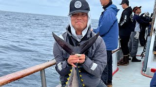 Finally got 110LB Blue Fin Tuna in 2022  season and some sharks on BFT trip on Cortez sportsfishing