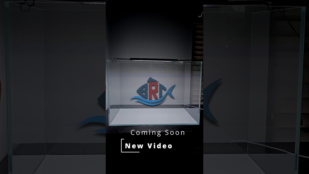 It's been a while...