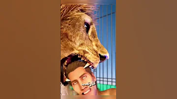 أسد ينقض على مدر به أمام الجمهور في عرض سيرك مرعب 