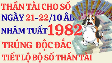 Tử Vi Nhâm Tuất 1982:THẦN TÀI CHO SỐ ĐỘC ĐẮC! Trúng Số Đổi Đời – Vận May CỰC ĐẠI 21, 22/10 Âm Lịch