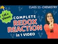 Redox Reactions Class 11 | Chemistry Complete Chapter