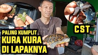 TURTLE SELLER AT PARUNG ORNAMENTAL FISH MARKET