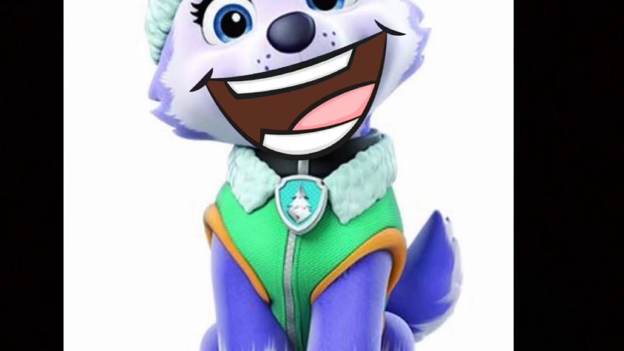 Everest From Paw Patrol Sings Deck The Halls 🎄 YouTube