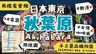 秋葉原Akihabara｜最多的動漫模型公仔、女僕咖啡廳、遊戲機遊樂場都在這｜日本三大電器街之一！｜獨一無二手工藝品購物區2K540｜日本東京自由行街景Tokyo, Japan Street View