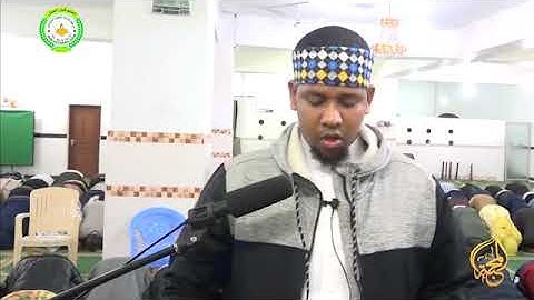 القارئ نعمان بشير