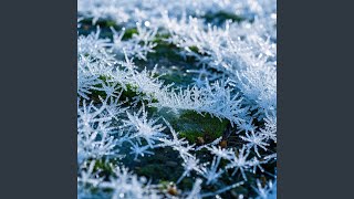 Underneath The Frost And Snow