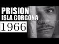 1966  PRISION ISLA GORGONA - DOCUMENTAL