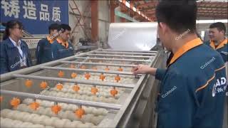Cucumber Processing Line