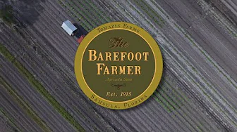 The Barefoot Farmer