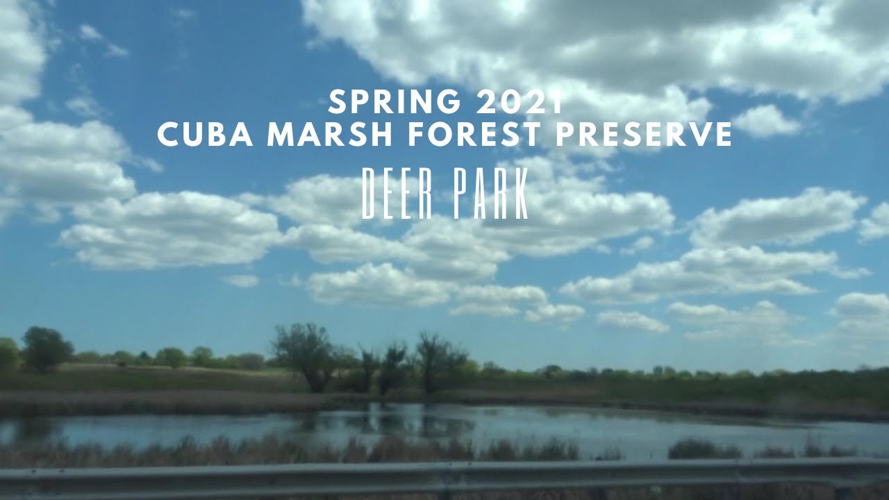 CUBA MARSH FOREST PRESERVE LAKE ZURICH ILLINOIS YouTube
