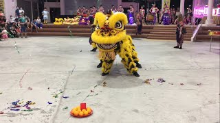 福星鍙龍獅藝術坊 Fu Xing Hong Lion Dance Cai Qing Performance at Shi Cheng Tai Zi Gong 28 April 2023