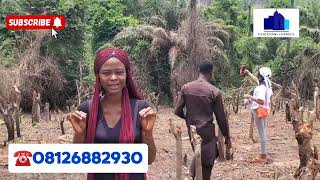 LAND FOR SALE AT ABEOKUTA,  OGUN STATE