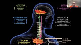 GSD2 Pompe - Dr Jonathan Rajan - Pompe's Disease: A Pain Medicine Perspective