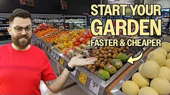 Starting My Spring Garden From Supermarket Scraps