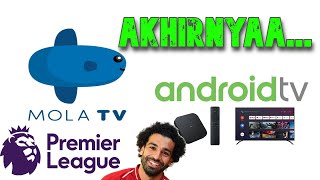 Akhirnya Mola For Android TV sudah tersedia di Google Playstore