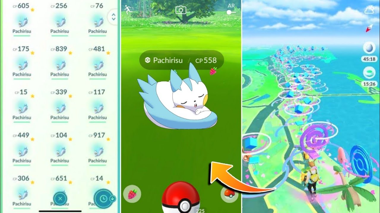 Pokémon Go Account mit regionalem Pokémon Pachirisu 