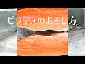 【琵琶湖の宝石】ビワマスづくしのコース料理＃１ビワマスのおろし方【サーモンのおろし方】