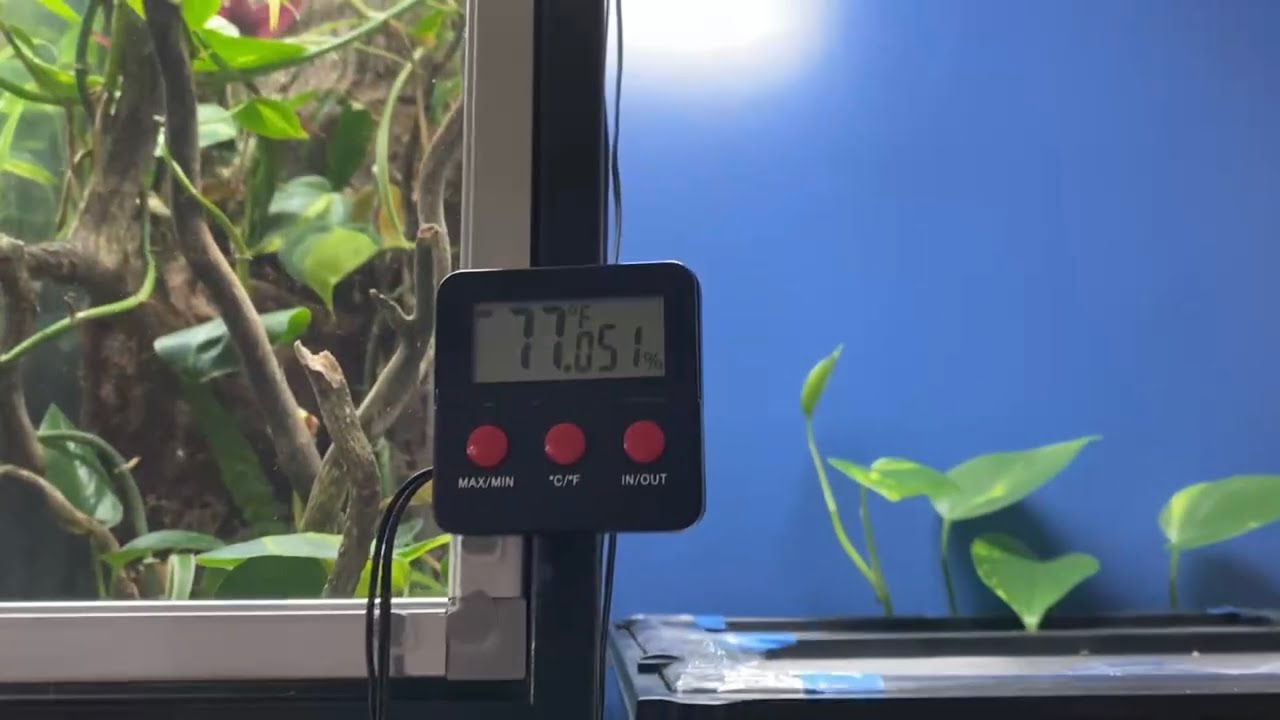 The hygrometer, an important element in the terrarium, Tips & Tricks, BLOG