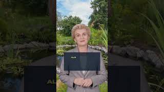 Een wijze Chinese man zei ooit ... #spreuk #spreuken #spreukvandedag #paling #vijver