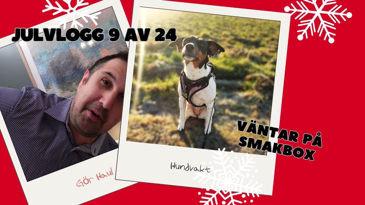 Julvlogg 9 av 24 - Väntar på Smakbox & och är hundvakt