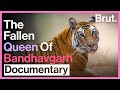 The Story Of Solo: Bandhavgarh's Tigress