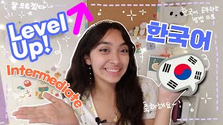 testing to become INTERMEDIATE in 한국어! || howtostudykorean || Level Up!