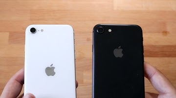 iPhone SE (2020) Vs iPhone 8 Quick Camera Comparison