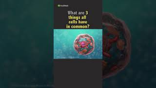 1 Minute Biology Quiz - 3 Things Cells Have in Common #shorts